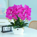 High-quality artificial Phalaenopsis orchids