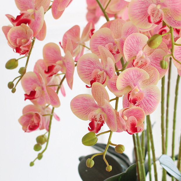 High-quality artificial Phalaenopsis orchids